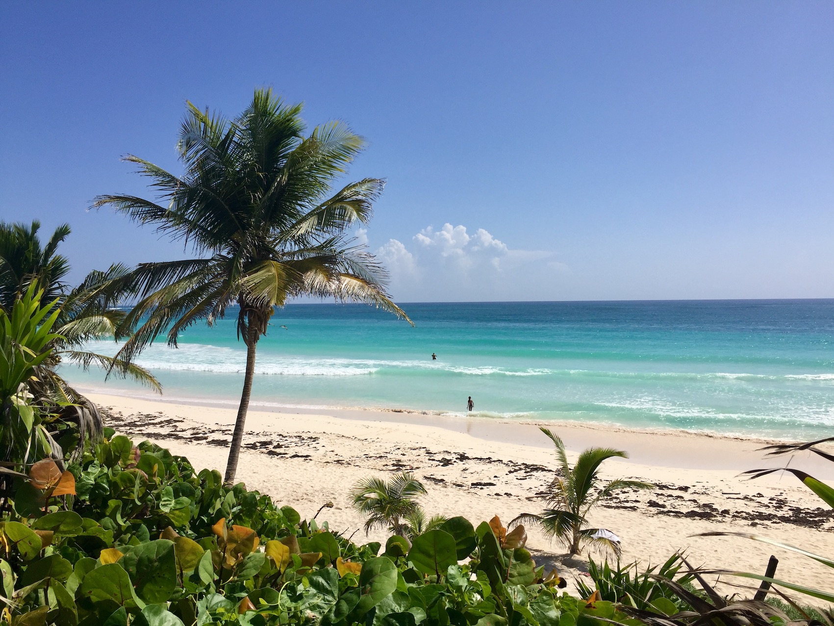 playa reserva ecológica