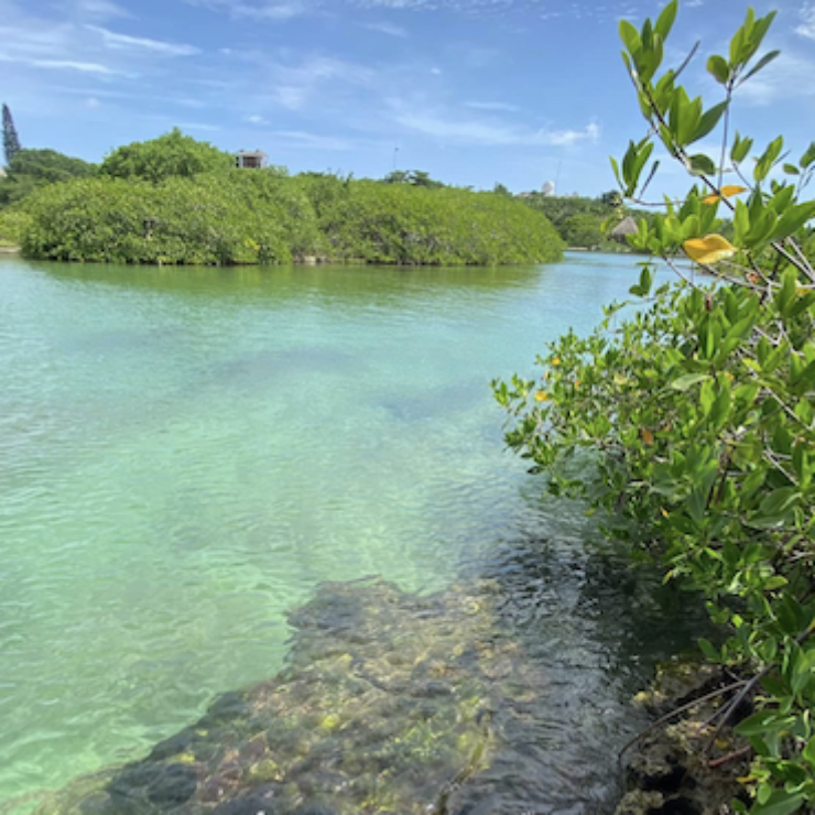 Tulum Lagoons